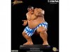 Street Fighter 1/4 Scale E. Honda Statue by PopCultureShock