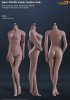 Flexible Female Seamless Body in Suntan/Middle Breast PL-MB2015S02A