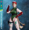 1/6 Fighting Female Warrior Figure Play Toy PT-P020A