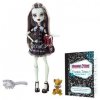 Monster High Original Favorites Frankie Stein Doll by Mattel