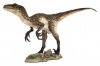 Dinosaurs: DEINONYCHUS 1 (Closed Jaw) Life-size Statue Section 9