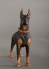 1/6 Scale Animal Series Doberman Pinscher Red Collar by DiD US