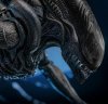 1/6 Alien Romulus Scorched Xenomorph Figure Hot Toys 913989 MMS784