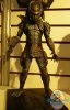  Predators 7-Inch Figure Series 6 The Warrior by Neca