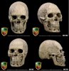 1/6 Scale Cannibal Skull ACI753 Set of 10 for 12 inch Figures ACI Toys