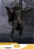 1/6 Scale Star Wars Han Solo Mudtrooper MMS Hot Toys 903630