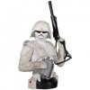 SDCC 2011 Star Wars McQuarrie Snowtrooper Mini Bust by Gentle Giant