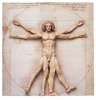 Table Museum The Vitruvian Man Figma by Freeing