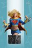 Women of the DC Universe Series 3 Supergirl Bust by DC Direct
