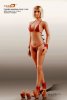 1/6 Figure Medium Breast Female Seamless Tan Body Phicen PLMB2012-02 