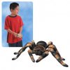 RC Tarantula with Light-up Eyes by Uncle Milton