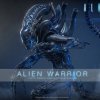 1/6 Aliens 40th Anniv. Alien Warrior Figure Hot Toys 915785 MMS898