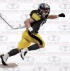 McFarlane NFL Troy Polamalu Pittsburgh Steelers Series 29 JC