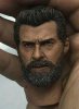 Burning Soul 1/6 Scale Wolverine Hugh Jackman Head Sculpt