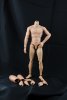 Custom 1/6 Scale Muscular Narrow Body for 12 inch Figures