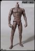 1/6 Scale Durable African Body 005# World Box