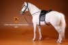 1/6 Mr.Z German Hanoverian Horse Set White MRZ GHH001