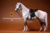 1/6 Mr.Z German Hanoverian Horse Set White/Gray MRZ GHH005