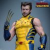 1/6 Deadpool & Wolverine: Wolverine Deluxe Figure Hot Toys 9134872