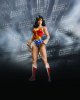JLA Classic Icons Series 1  Wonder Woman * The Amazing Amazon