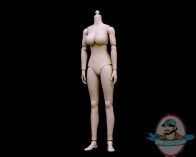 1/6 Scale Female Big Breast Body in Pale Skin ZY-N001 by ZYToys