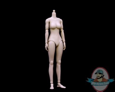 1/6 Scale Female Medium Breast Body in Pale Skin ZY-N002 by ZYToys