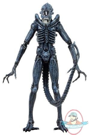 Alien Series 2 Blue Xenomorph Warrior 9 inch Tall Action Figure Neca