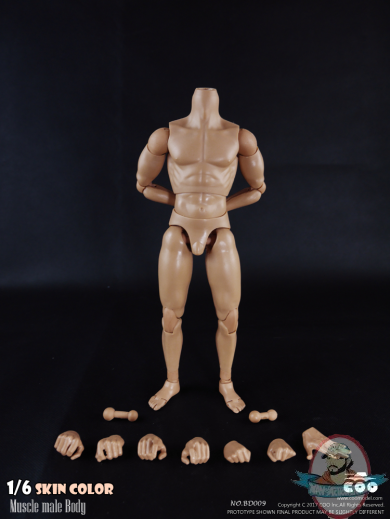 COOMODEL 1/6 Sixth Scale Standard Muscle Arm Body BD009