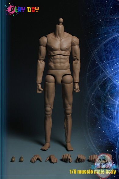 1/6 Scale Action Figure Muscle Body PT-MB001 Play Toy