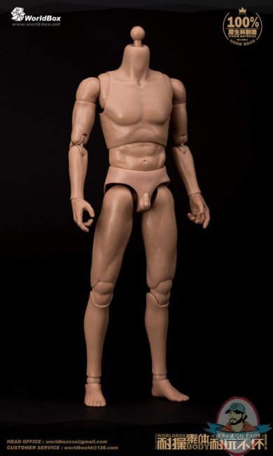 1/6 Narrow Shoulders Articulated Male Body WB-AT011 World Box