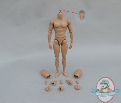 1/6 Scale Muscular Action Figue Body B005 by ZYToys