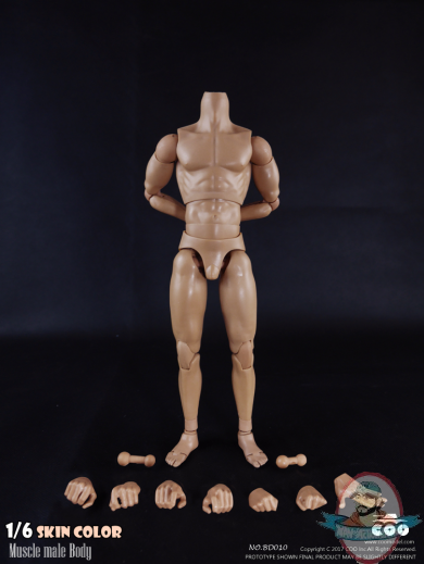 COOMODEL 1/6 Sixth Scale Standard Muscle Arm Body BD010