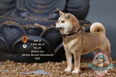 1/6 Mr.Z animal model Japanese Shiba Inu MRZ027 002