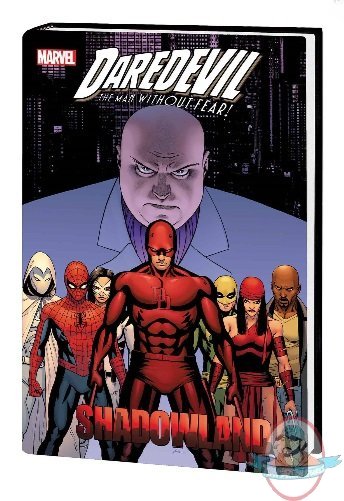 Marvel Daredevil Shadowland Omnibus Hard Cover 