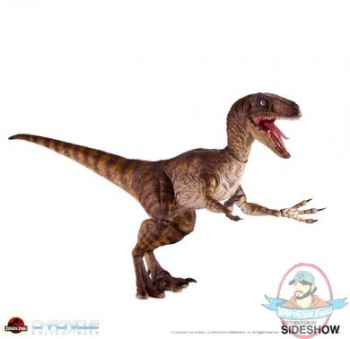 1/6 Jurassic Park Velociraptor Figure Chronicle Collectibles 905382