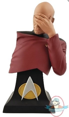 SDCC 2020 Star Trek TNG Picard Facepalm Limited Ed Bust Icon Heroes