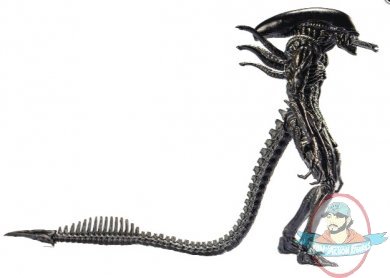 1:18 Scale AVP Alien Warrior Figure PX Hiya Toys