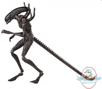 1:18 Scale Alien Covenant Xenomorph PX Hiya Toys