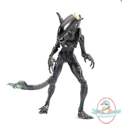 1:18 Scale AVP Blowout Alien Warrior Figure PX Hiya Toys