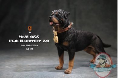 1/6 Scale Mr. Z Animal Model Rottweiler MRZ055A