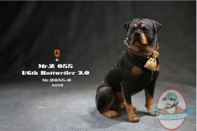 1/6 Scale Mr. Z Animal Model Rottweiler MRZ055B