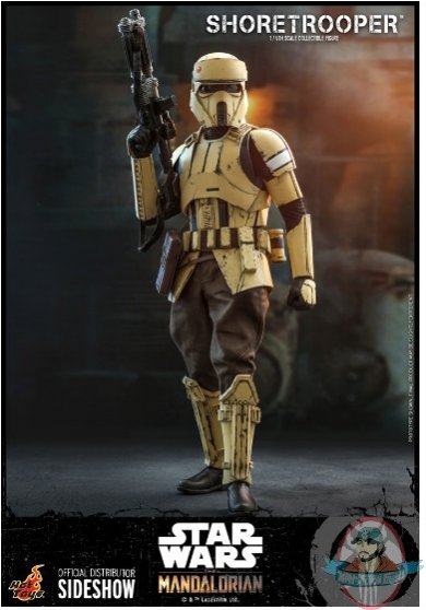 1/6 Scale Star Wars Shoretrooper TMS031 Figure Hot Toys 907515