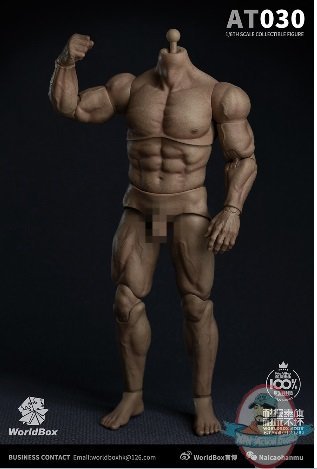 World Box 1/6 Durable Strong Body Action Figure WB-AT030 