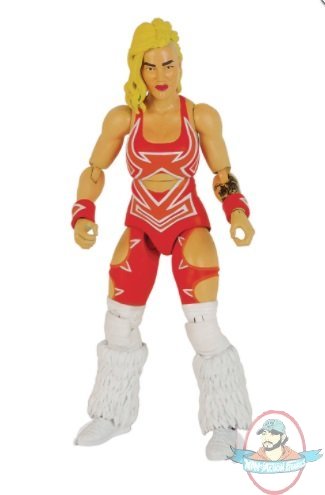 Legends of Lucha Fanaticos Wave 1 Taya Valkyrie Figure Boss Fight