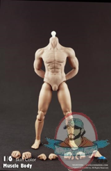 Coo Model 1/6 Scale Hybrid Muscular Body CM-B34006 Action Figure