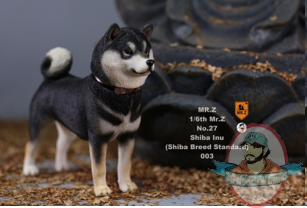 1/6 Mr.Z animal model Japanese Shiba Inu MRZ027 003
