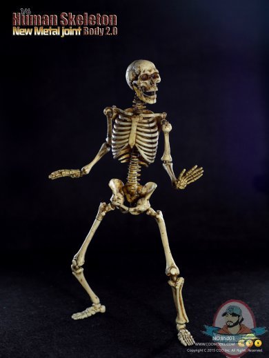 Coo Model 1/6 Scale CM-BS003  Human Skeleton Body 2.0 Metal Joint 