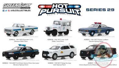 1:64 Hot Pursuit Series 29 Set of 6 by Greenlight 