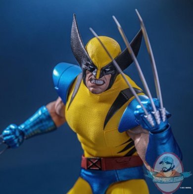 1/6 Marvel X-Men Wolverine Figure Hot Toys/ Hono Studio HS01 912965