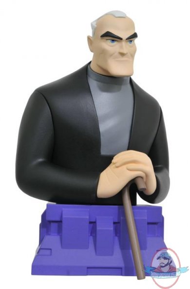 Batman Beyond Bruce Wayne Bust by Diamond Select